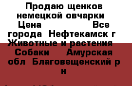 Продаю щенков немецкой овчарки › Цена ­ 5000-6000 - Все города, Нефтекамск г. Животные и растения » Собаки   . Амурская обл.,Благовещенский р-н